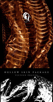 Package - HollowSkin - 3