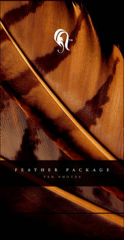 Package - Feather - 4