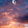 Package - Sky Scape - 1