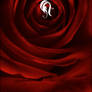 Package - Flora - 2