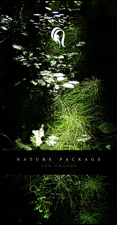 Package - Nature - 3