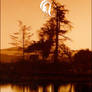Package - Nature - 4