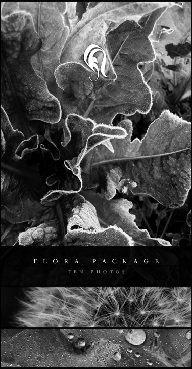 Package - Flora - 3