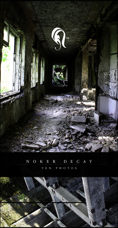 Package - Noker Decay - 2