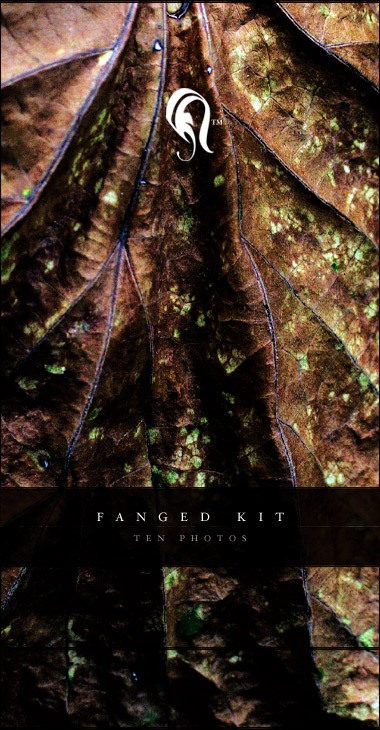 Package - Fanged - 3