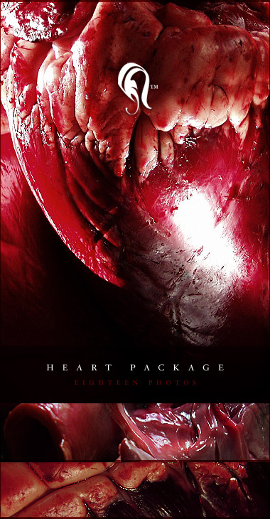 Package - Heart - 1