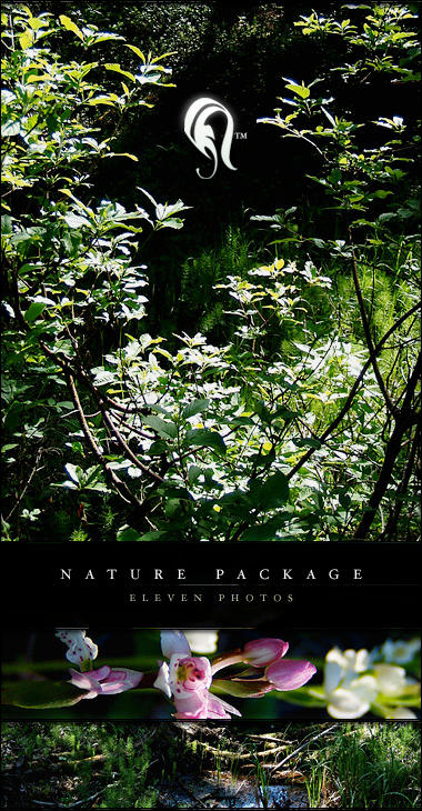 Package - Nature - 9 by resurgere on DeviantArt