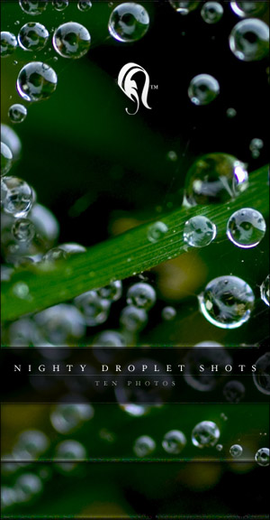 Package - Nighty Droplet Shots