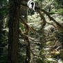 Package - Nature - 12