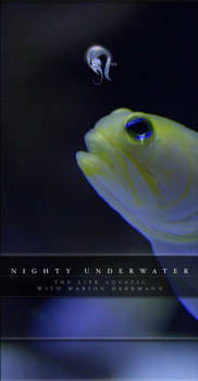 Package - Nighty Underwater