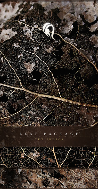 Package - Leaf - 1