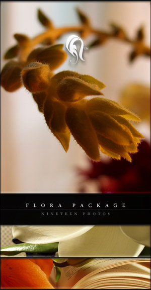 Package - Flora - 7