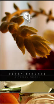 Package - Flora - 7