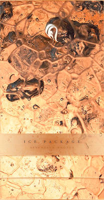 Package - Ice - 8