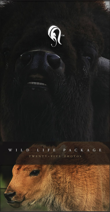 Package - Wild Life - 1