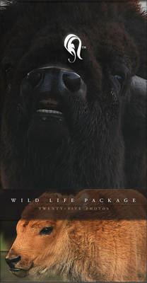 Package - Wild Life - 1