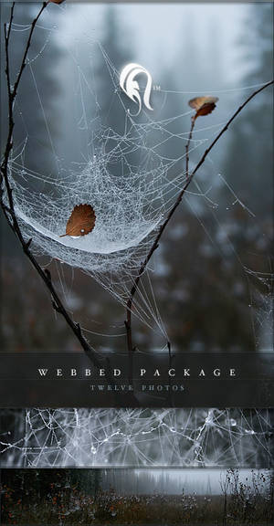 Package - Webbed - 2