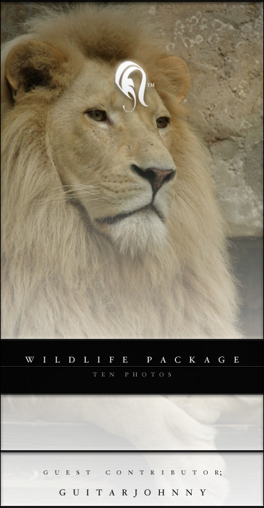 Package - Wild Life - 2