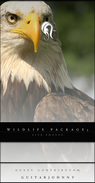 Package - Wild Life - 3