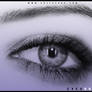 EyeBrushes01