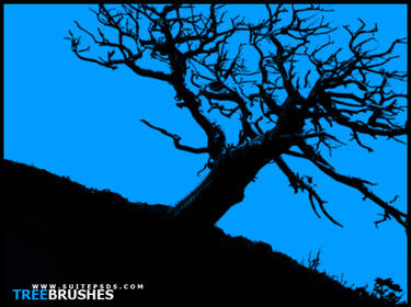 TreeBrushes01