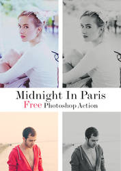 Midnight in Paris Freebie - Photoshop Action