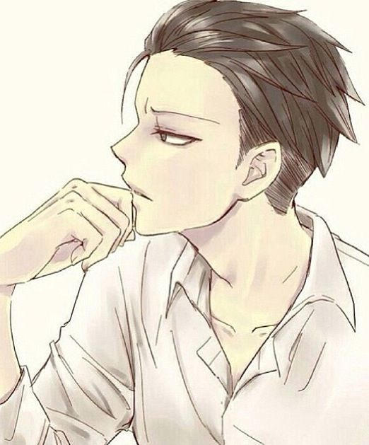 Jealous Levi X Shy Reader