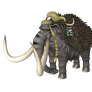 Jack (Mammoth)