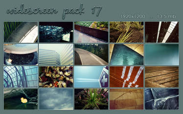 widescreen pack 17