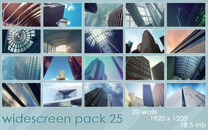 widescreenpack 25