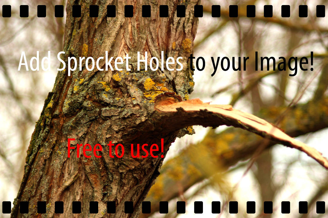 Sprocket Holes by nilsxys on DeviantArt