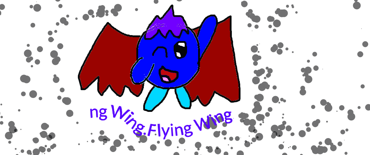 Flying wing. by Kayalovesu on DeviantArt