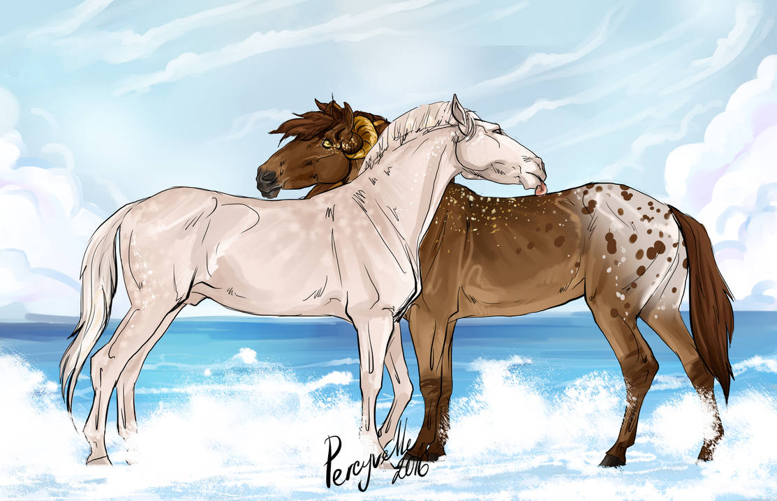 Sea Breeze Couple Animation By Percyvelle On Deviantart