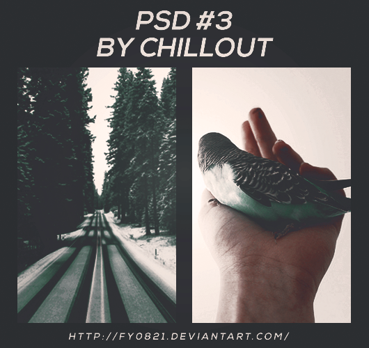 PSD #3