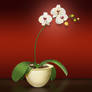 Orchid Icon, 512px-16px