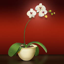 Orchid Icon, 512px-16px