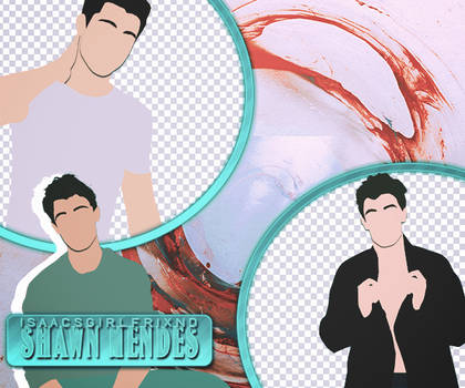 Explore Best Shawnmendes Art On Deviantart