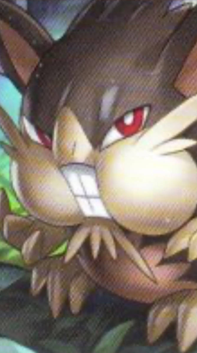 All-Star WarZone: Alolan Raticate by UltimateSaiyanEddy on DeviantArt