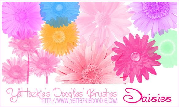 Daisies Brush Set