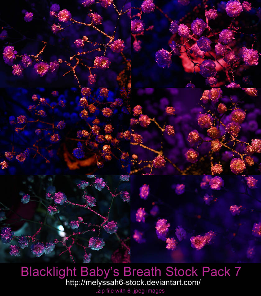 Blacklight Baby's Breath Stock 7 .zip Pack by Melyssah6Stock on