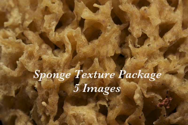 sponge texture package
