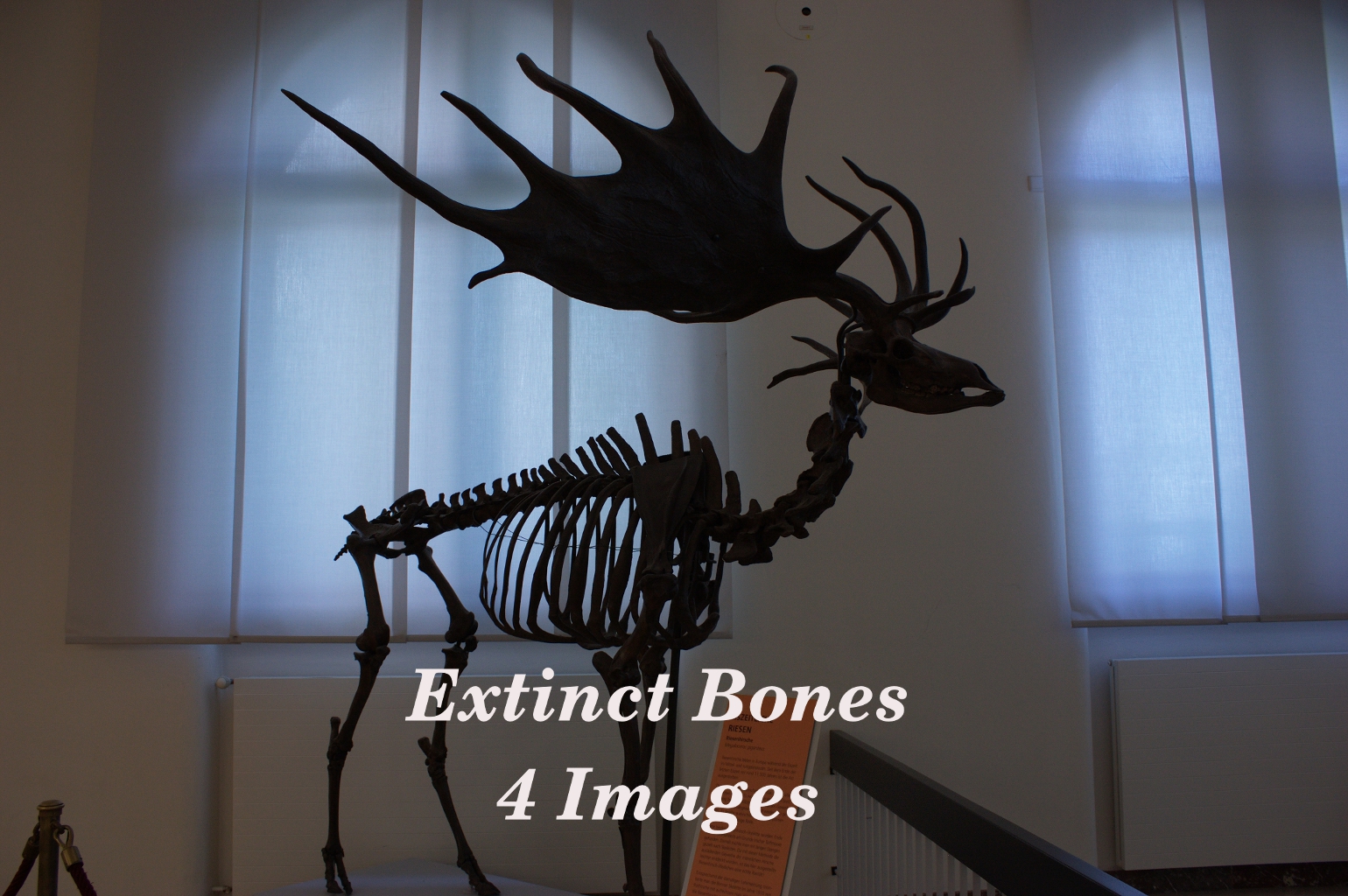 Extinct Bones Package