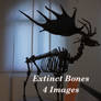 Extinct Bones Package