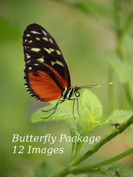 Butterfly Package