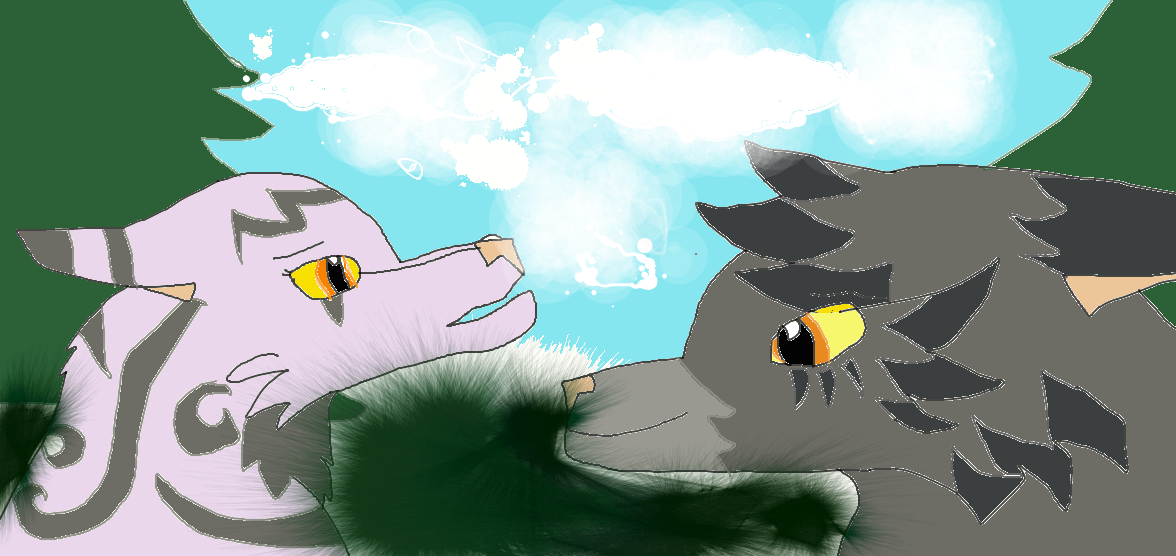 graystripe-and-millie-by-starfullkv-on-deviantart