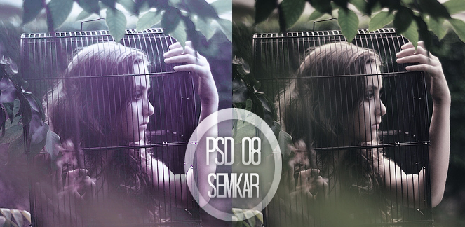 PSD 08 by semkar on DeviantArt