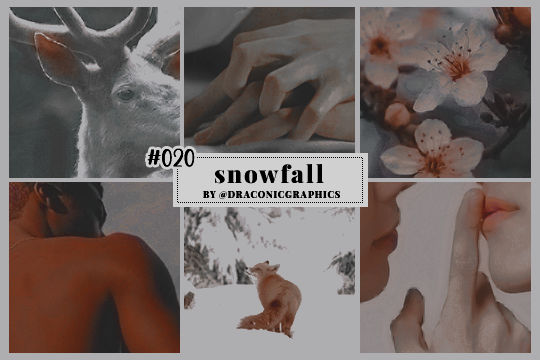 #020 snowfall by draconicgraphics on DeviantArt
