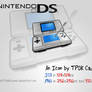 Nintendo DS Icon