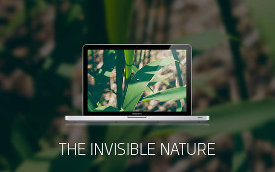 THE INVISIBLE NATURE