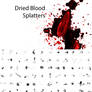 Dried Blood Splatters